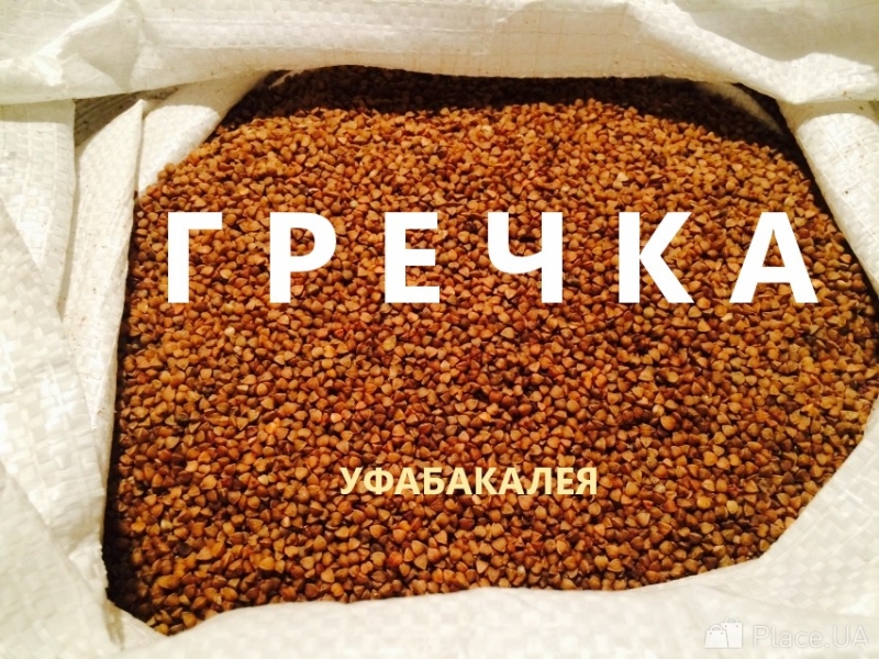 Гречка продажа оптом