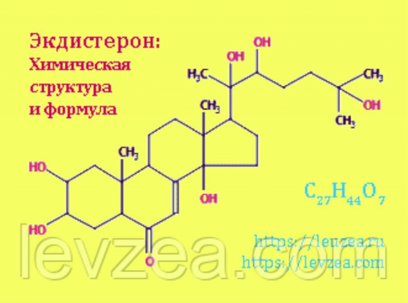 Cepïyxa-ïopoøîê 20 ãp coäepæèò 946 ìã ýêäèñòepoía