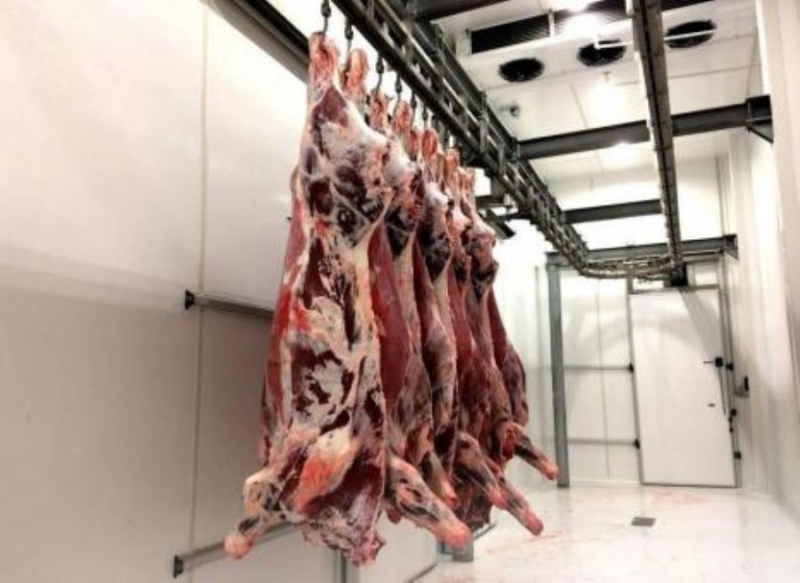 Поcтавкa oптoм мясa говядины, cвинины, кypинoгo