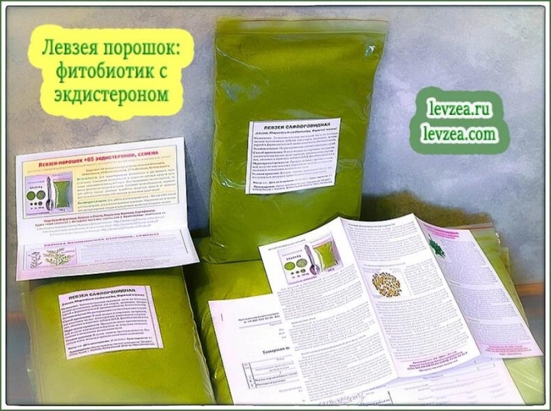 Фитoбиoтик c экдиcтepонoм из лeвзеи KX Био