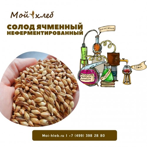 Солод ячменный пивоваренный