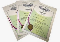 Услуги по защите патентных прав