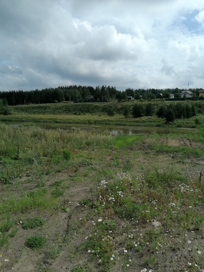 Участок на берегу Рощинский хутор