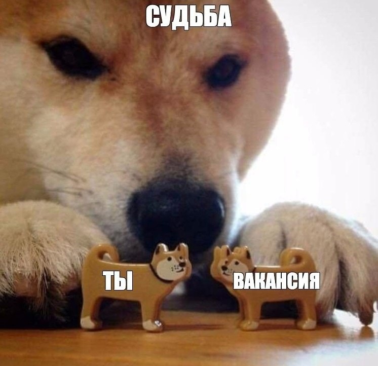 Администратор