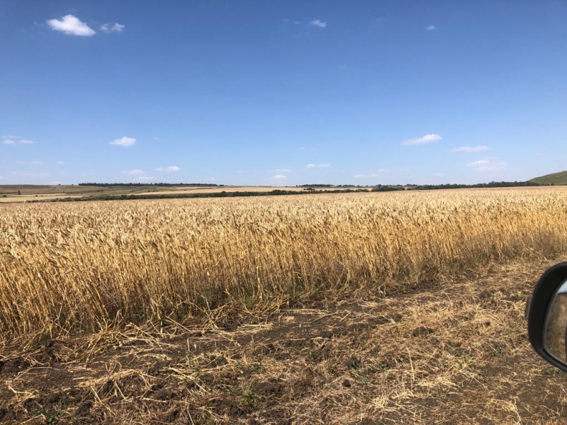 Продажа земельного участка 44 ГА на Кавминводах