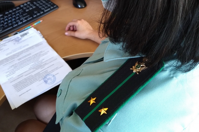 Услуги по судебным приставам, ФССП