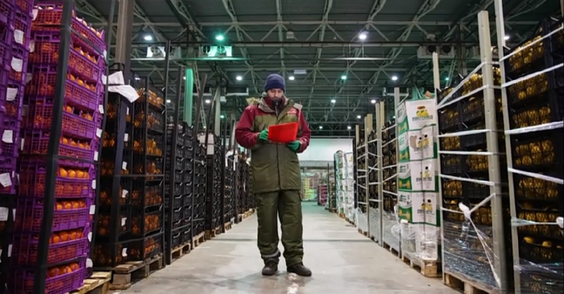 Агроном на склад Товаровед-эксперт плодоовощной продукции
