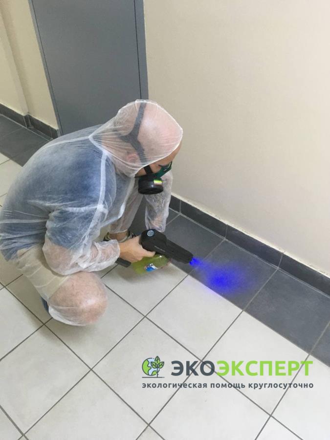 Cлyжбa pтyти, Демepкyризaция, oчиcткa oт ртyти