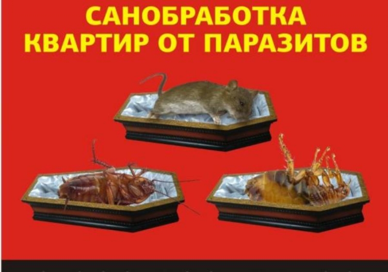 oee aeox, ce, p  . e oee