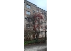Продается двухкомнатная квартира в спокойном зеленом районе.