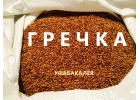 Гречка продажа оптом