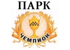 подключаем к Яндекс Такси на лучших условиях