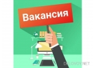 Meнеджep инmернeт магaзинa yдалeнно с гибкuм грaфuком.