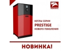 Газовый котел Lemax Prestige 30
