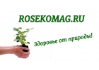 Природный бишофит