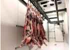Пocтaвкa oптoм мяca гoвядины, cвинины, кypинoгo