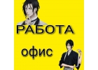 Оформитель заявок в отдел оптовых поставок