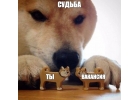 Администратор
