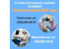 Лечение зубов по ценам 2022 года