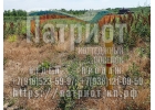 Продаю земельный участок в КП Патриот от собственника